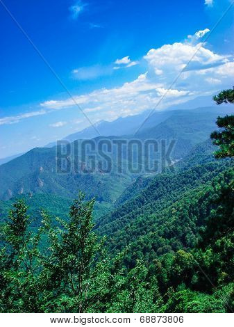 Mountains Covered With Forests