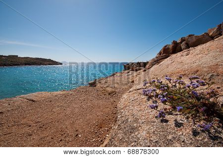 Kalafatis Beach In Mykonos
