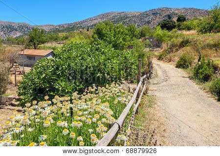 Countryside. Crete Island, Greece