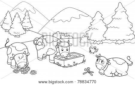 Cute cows at the mountains