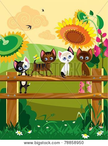 Kittys at summer