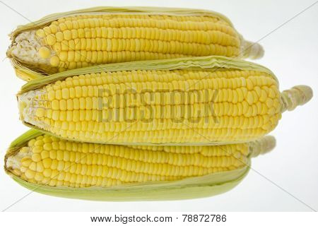 Yellow Corn