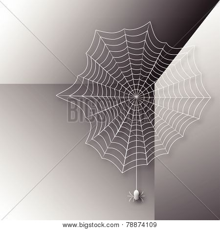 Spider In The Web
