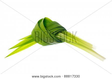 Fresh Pandan leaves isolated on white background.