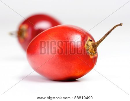 Studio shot of tamarillo fruit