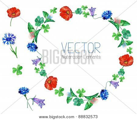 Vector watercolor flowers and elements.