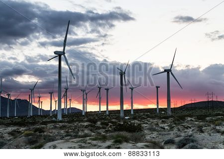 Wind Power