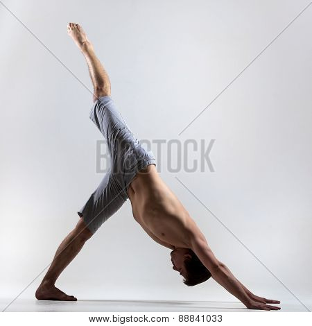 One Legged Down Dog Yoga Pose