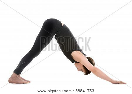 Yoga Pose Downward-facing Dog
