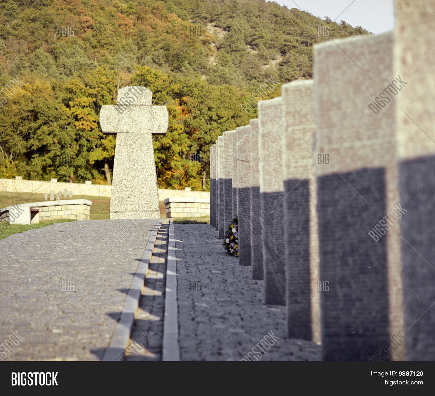 Image Preview