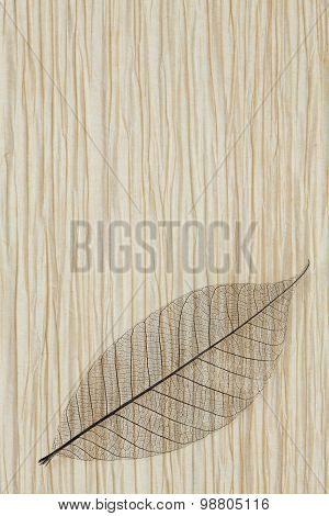 Dry Transparent Leaf On Paper Grunge Background