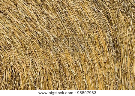 Dry Chaff Background
