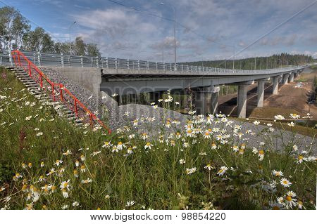 Wildflowers In Meadow Near  New Highway Bridge On Forest Road.