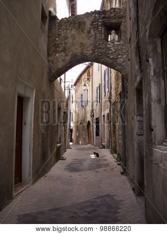 Cat cooling off in a shady street in a French town