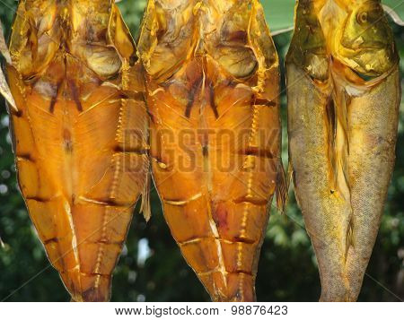 Trade Of Fish