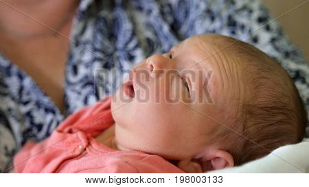 Newborn baby sleeping near mother in maternity hospital, close up