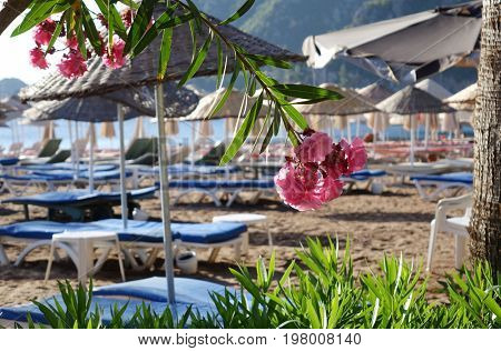 Summer vacation on the Icmeler  beach, Turkey