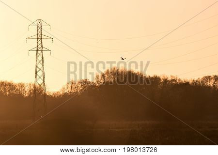 Silhouette Of A Kestrel Falcon Raptor (falco Tinnunculus) Hunting Hovering Over Meadow At Sunset Wit