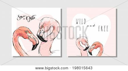 Hand drawn vector abstract cute beautiful feminine save the date cards set collection template with paradise bird flamingo in pastel colors isolated on white background