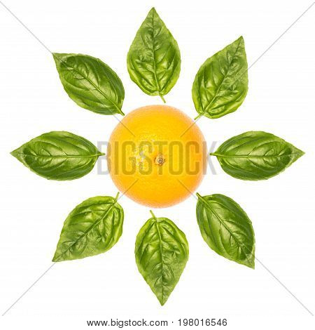 Frower Made Of Orange And Basil Leaves