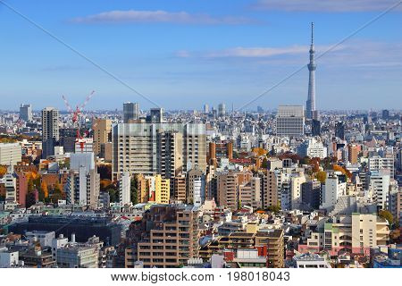 Tokyo City Skyline