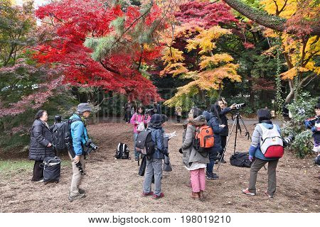 Koyo Photographers