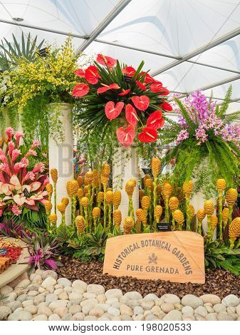 LONDON UK - MAY 25 2017: RHS Chelsea Flower Show 2017. Tropical plants and spice display.