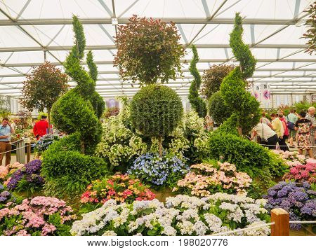LONDON UK - MAY 25 2017: RHS Chelsea Flower Show 2017. Visitors observing mixed plants displays.