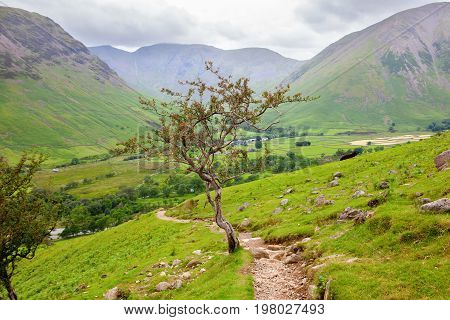 Views on the path to Scafell pike, the highest mountain in England, Lake District National Park, England, selective focus