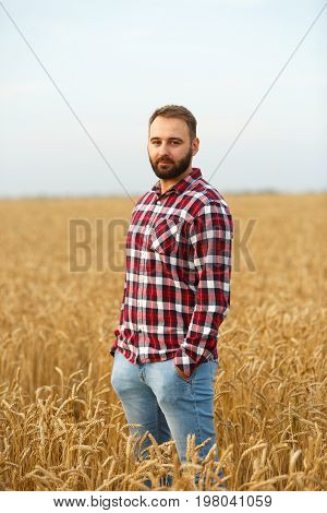 Portrait of a bearded farmer standing in a wheat field. Stilish hipster man with trucker hat and checkered shirt on. Agriculture worker