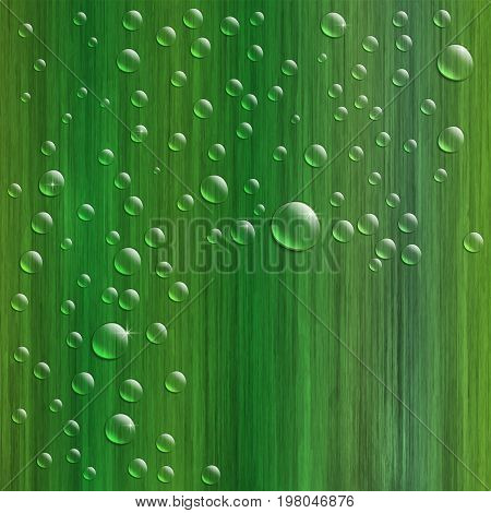 Water Drops On Fresh Green Grass, Realistic Vector Illustration