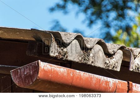 Eternal roof. Asbestos boards. Dangers of cancer. Hazardous waste
