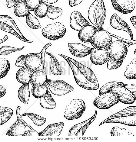 Shea butter vector seamless pattern drawing. Isolated vintage  background with berry, nuts, branch. Organic essential oil engraved style sketch. Beauty and spa, cosmetic ingredient. Great for packaging design.
