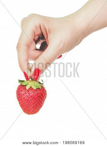 Woman manicured hands whith red nails polish holding fresh strawberries on white background.