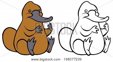 Funny kindly cartoon platypus - You can design cards, part of platypus logo, mascot, corporate character and so on. Lively animal character.