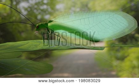 Chrysopidae flying insect green lacewing 3d render