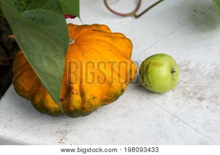 Ripe orange pumpkins and green apple on a natural white background with copy space room for text or logo.Colorful Autumn sweet pumpkins with leaves