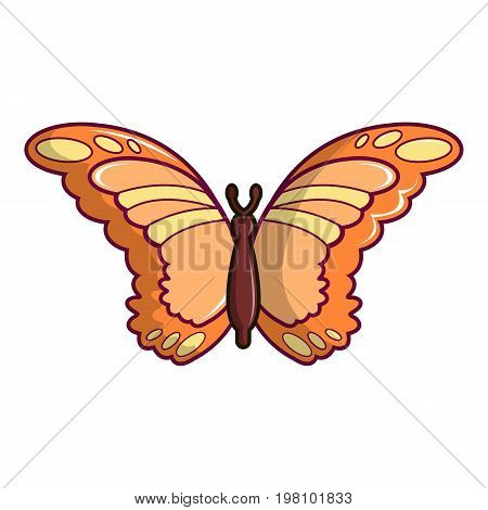 Monarch butterfly icon. Cartoon illustration of monarch butterfly vector icon for web design