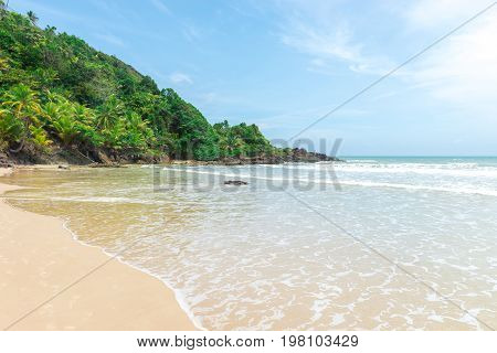 Amazing Green Nature At The Itacarezinho Beach