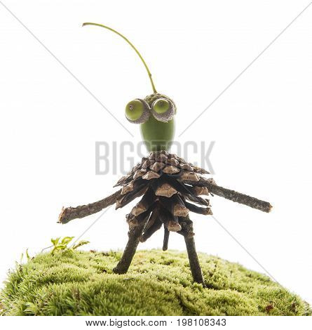 Creature made from natural materials isolated on white - autumnal natural toy