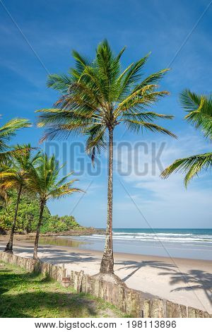 Impressive Paradise Beach At The Itacare Bahia Brazil