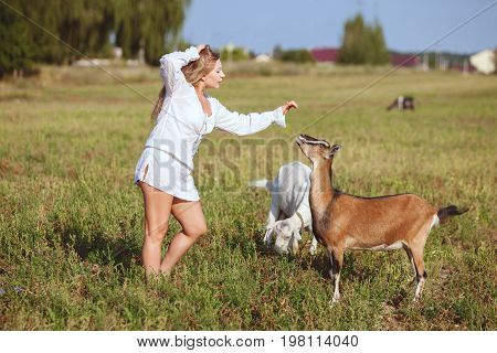 Woman is stroking a domestic goat they are in a field on a farm.