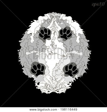 Shaggy white dog
Abstract composition on black background style pop art trunk fluffy animal four black paws