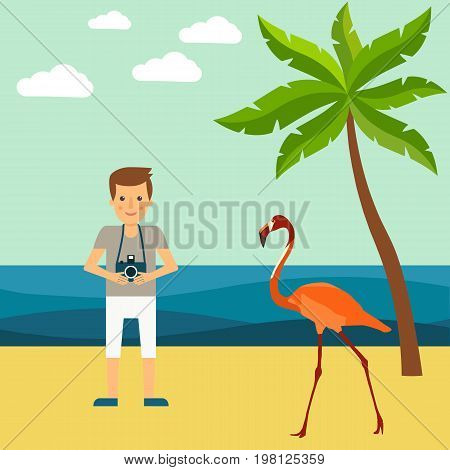 Illustration of a tourist and flamingos on the beach