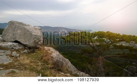 Large cobbles and lonely tree high on a mountain