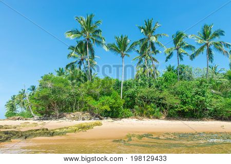 Spectacular And Impressive Paradise Beach At The Marau