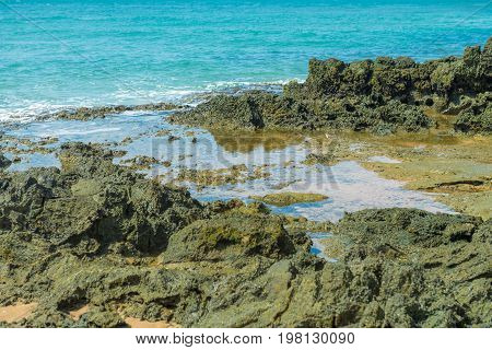 Water Forms And Effects All Over The Beach
