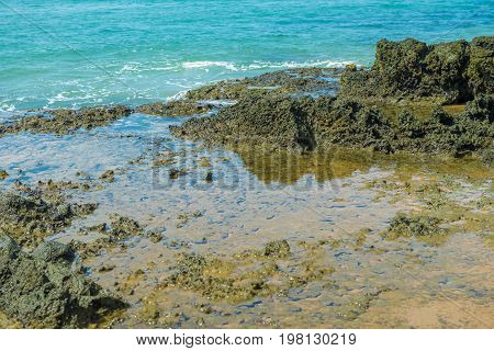 Landscapes Of The Beach At The  Peninsula De Marau