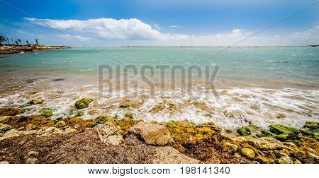 a coastal landscape near padre island texas