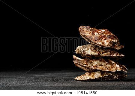 A small pile of four juicy oysters on a black background. Fresh tropical sea mollusks full of nutrients. Closed seashells with the one-sidedly convex hull. The greatest delicacy. Copy space.
